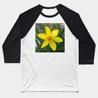 Yellow Daffodil Baseball T-Shirt